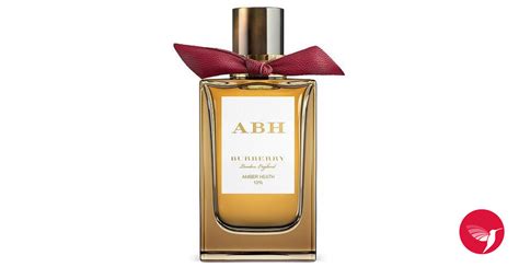 amber burberry|burberry amber heath perfume.